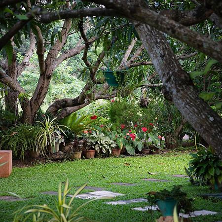 Shan Mango Homestay Sigiriya Exterior photo