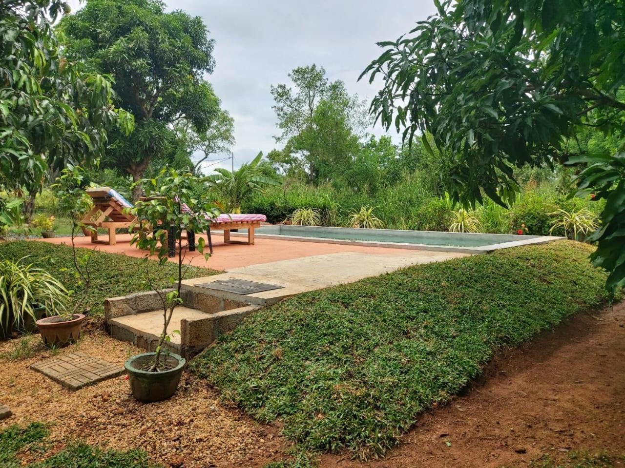 Shan Mango Homestay Sigiriya Exterior photo