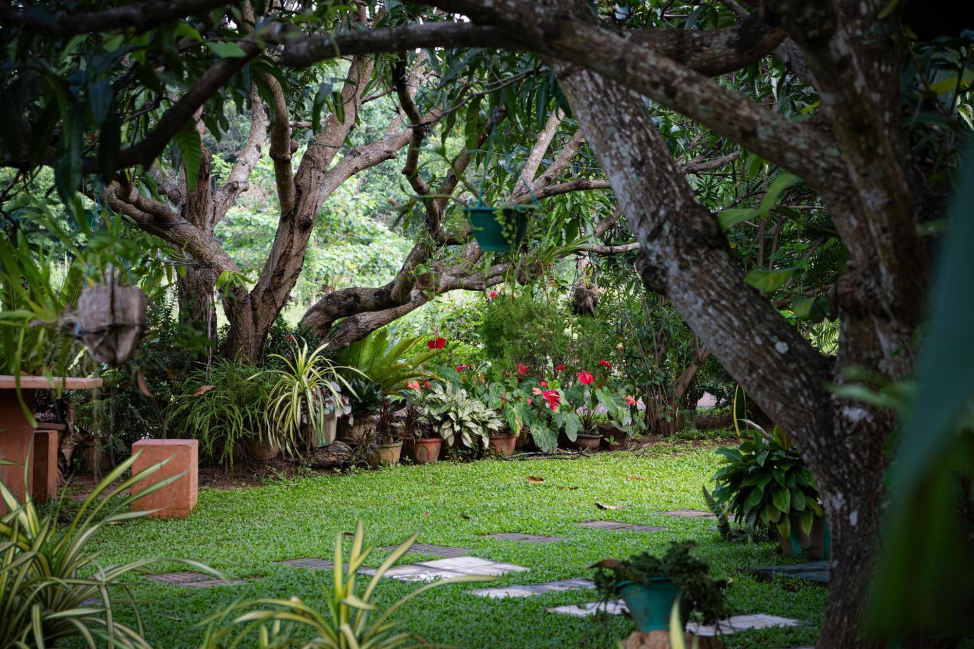 Shan Mango Homestay Sigiriya Exterior photo